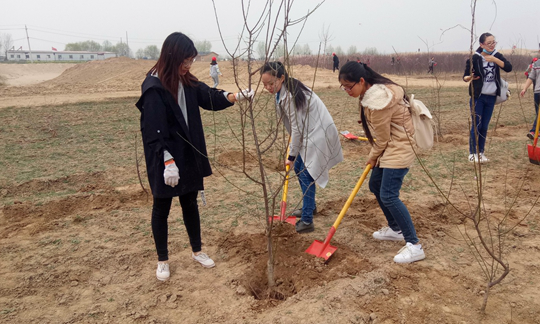 1489455532142013096.png 图片1.png